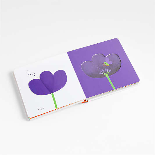 Colors Touch Think Learn Baby Board Book by Xavier Deneux