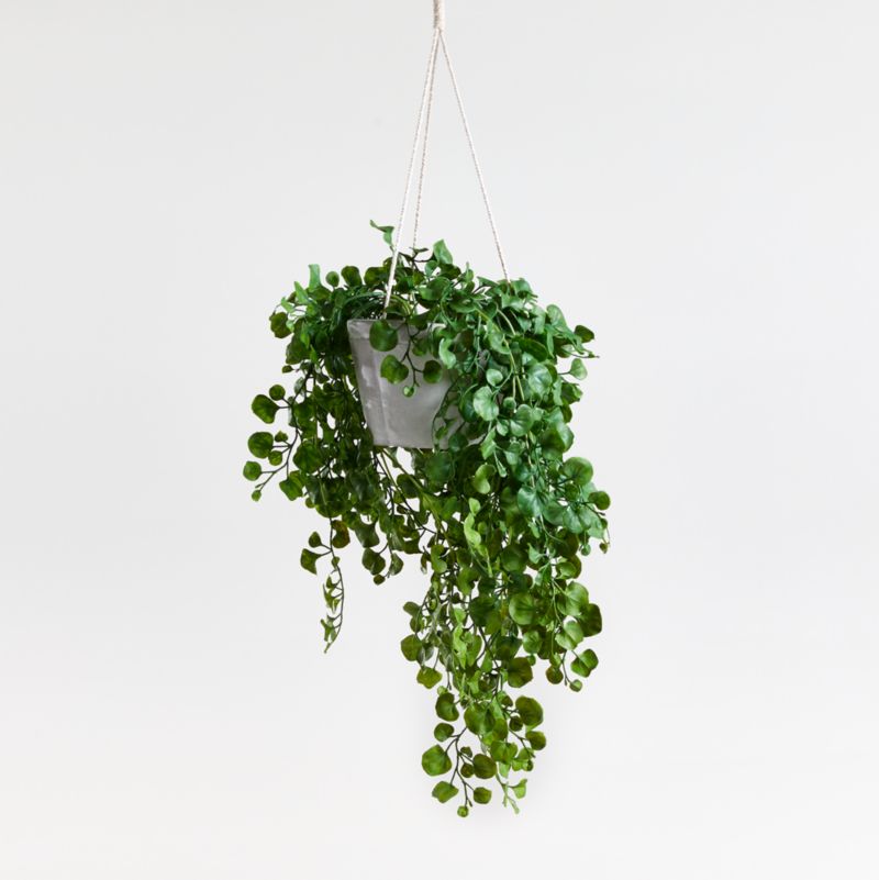 Faux Trailing Ficus Hanging Plant in Pot + Reviews | Crate & Barrel