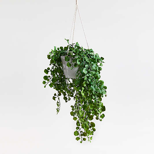 Faux Trailing Ficus Hanging Plant in Pot