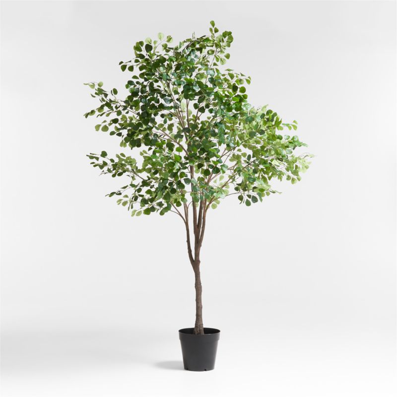Potted Faux Triangle Ficus Tree 9'