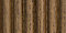 Ribbed Oak