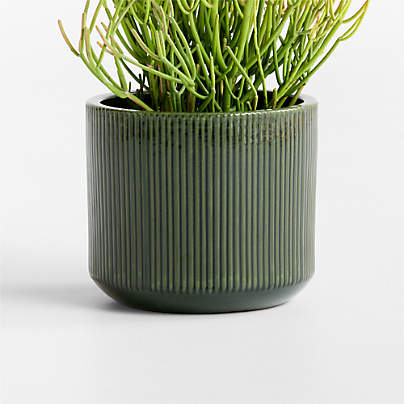 Tulu 11.02" x 12.60" Green Indoor/Outdoor Ceramic Planter