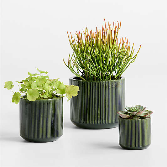 Tulu 11.02" x 12.60" Green Indoor/Outdoor Ceramic Planter