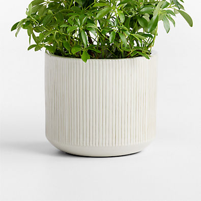 View Tulu 11.02" x 12.60" White Indoor/Outdoor Ceramic Planter details