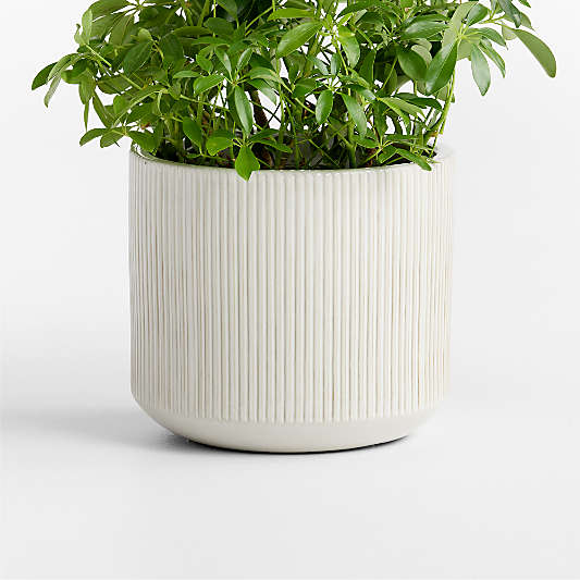 Tulu 11.02" x 12.60" White Indoor/Outdoor Ceramic Planter