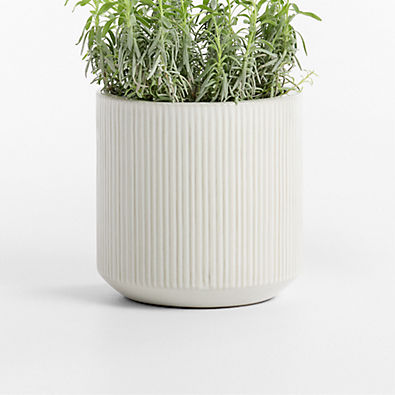 View Tulu 9.05" x 9.05" White Indoor/Outdoor Ceramic Planter details