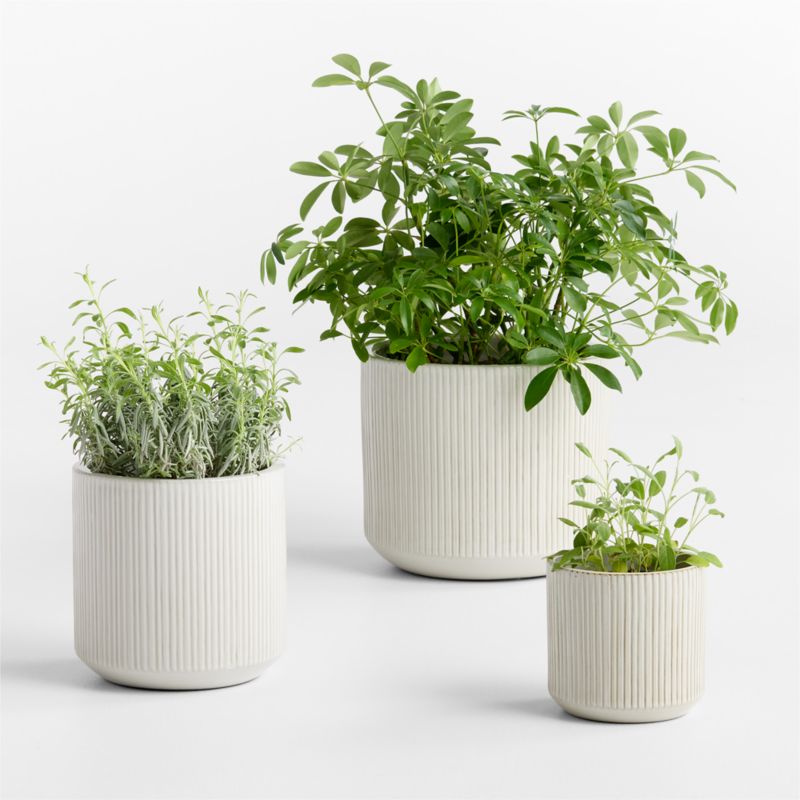Tulu 6.25" x 6.50" White Indoor/Outdoor Ceramic Planter - image 5 of 6