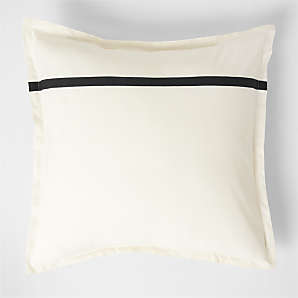 Our Elegant & Comfy Euro Pillow