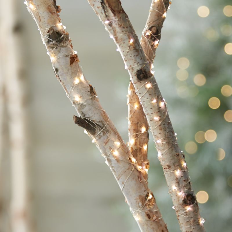 Twinkle lights on tree branches