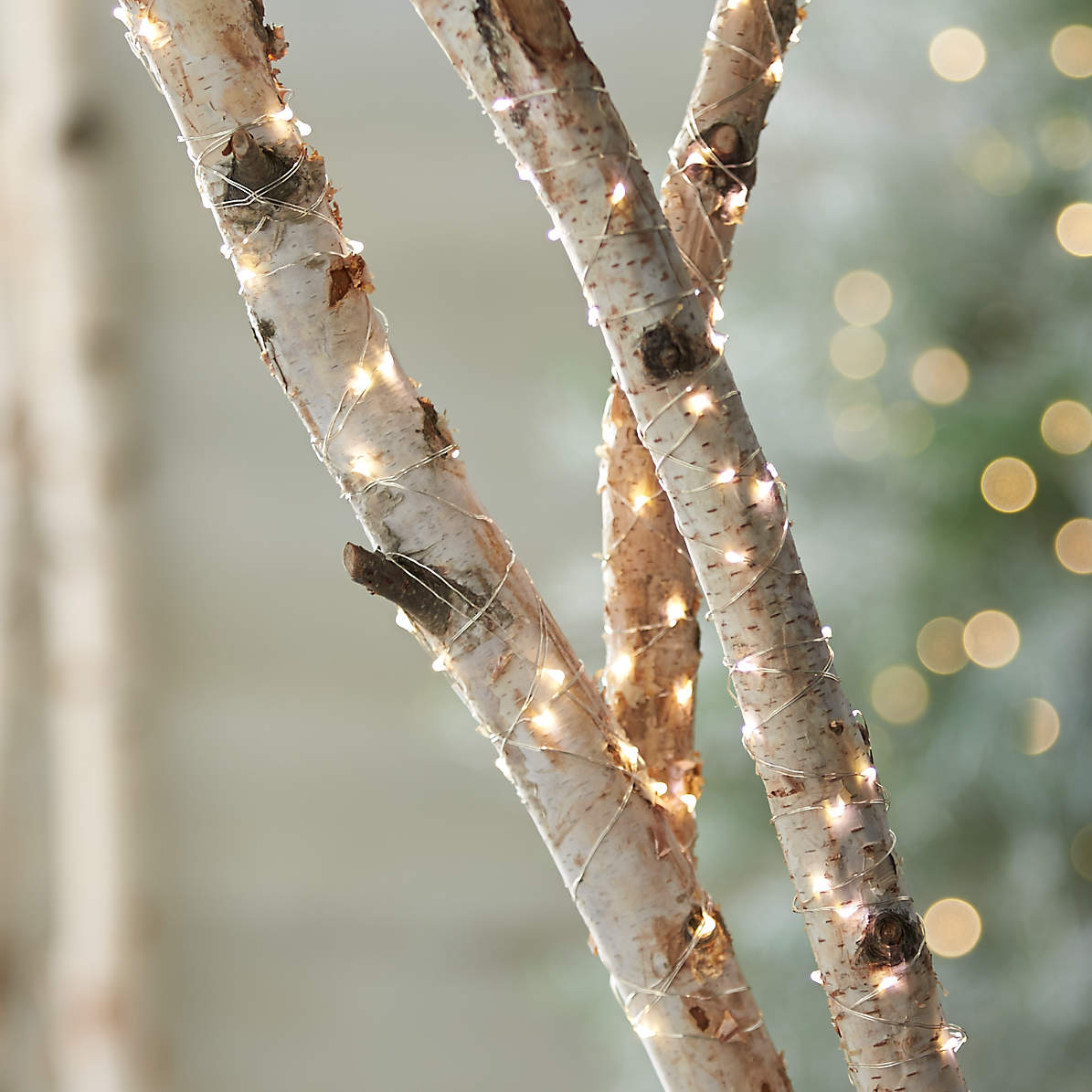 Twinkle Silver 10' Outdoor String Lights + | Crate Barrel