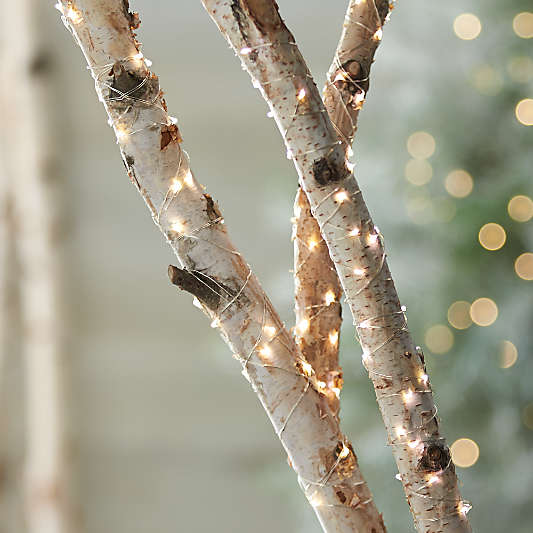 Twinkle Silver 10' Outdoor String Lights