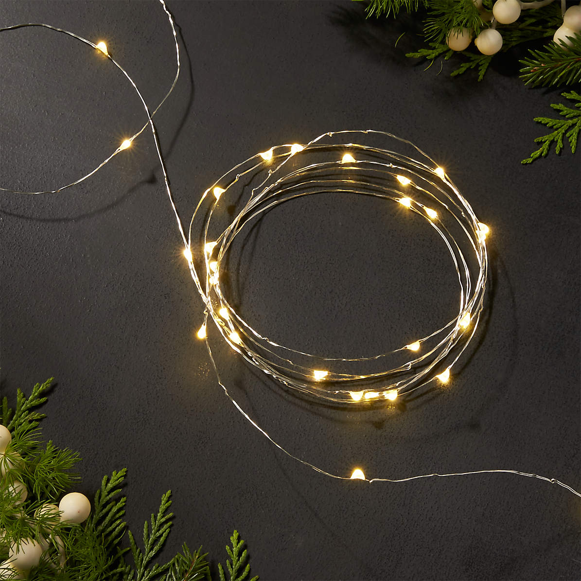 Twinkle Silver 10' Outdoor String Lights + | Crate Barrel