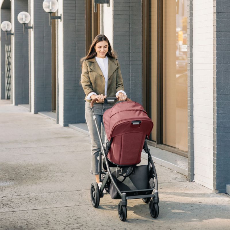 UPPAbaby ® Cruz V2 Lucy Rose Mélange Reclining Baby Stroller - image 1 of 14