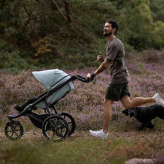 Thule Urban Glide 3 Mist Green All Terrain Newborn Stroller