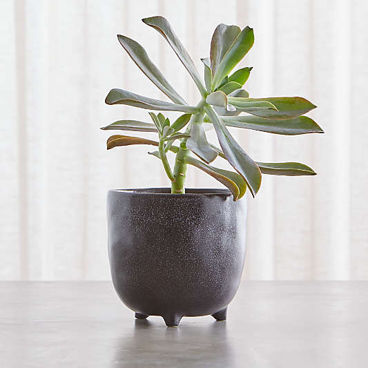 Vaquita Small Black Footed Planter