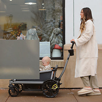 Baby & Kids Wagons