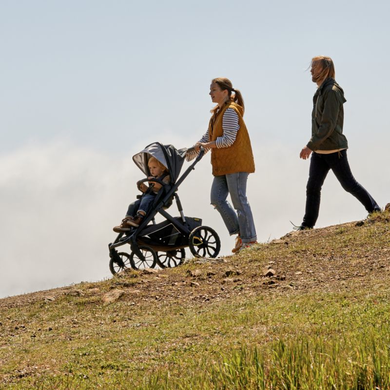 Veer ® Switch&Roll ™ Stroller Frame and Switchback Seat - image 2 of 4