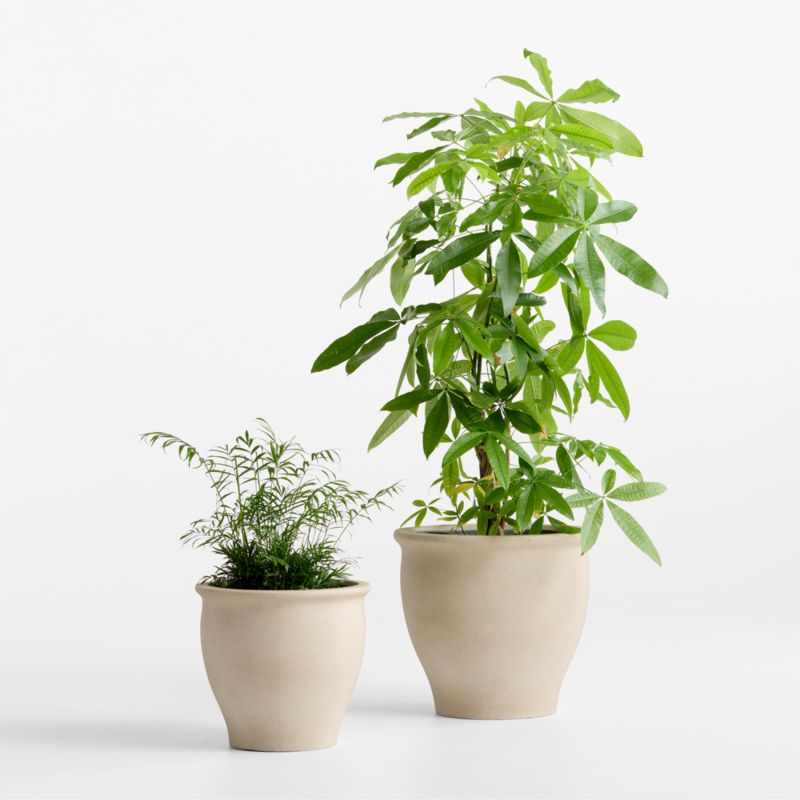 Veridia 15" x 16.5" Sand Indoor/Outdoor Ficonstone Planter - image 1 of 6