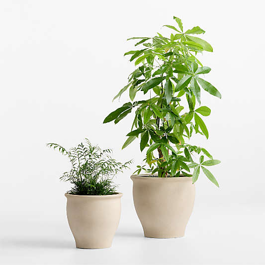Veridia Sand Indoor/Outdoor Ficonstone Planters