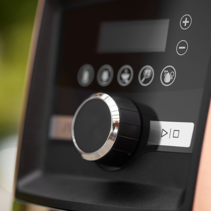 Vitamix Ascent A3500 BPAFree Copper Blender + Reviews Crate & Barrel