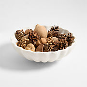 Walk in the Woods Dried Decorative Bowl Filler