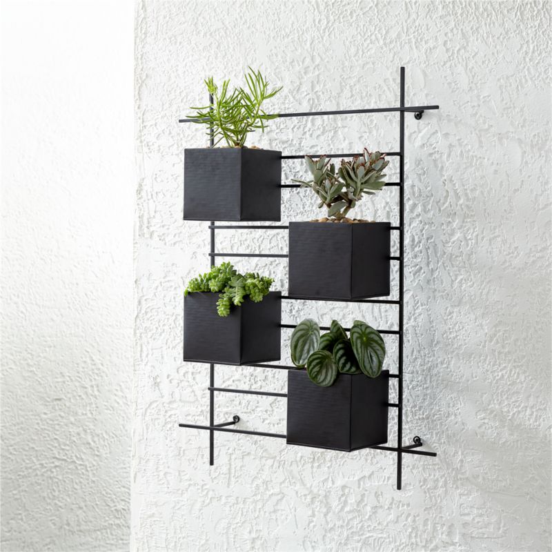 4 Box Wall Mounted Indoor/Outdoor Planter