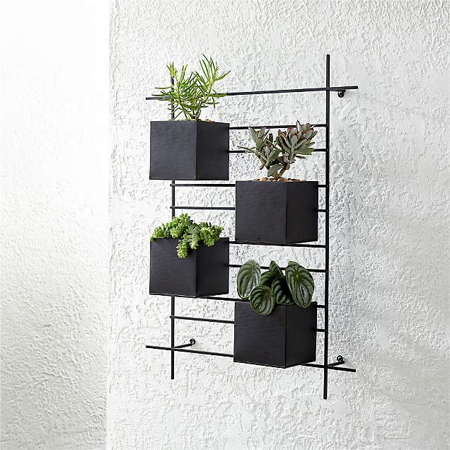 Wall Planter Hook + Reviews Crate & Barrel Canada