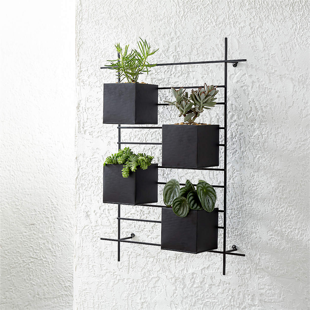 Crate And Barrel 4 Box Wall Mounted Planter
