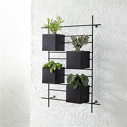 4 Box Wall Mounted Indoor Outdoor Planter Reviews Crate Barrel - What To Plant In Wall Planters