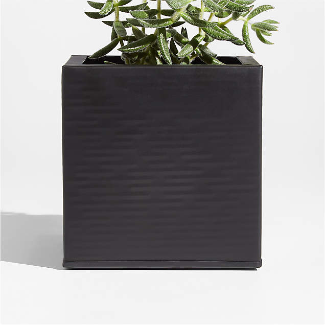 Wall Planter Hook + Reviews Crate & Barrel Canada