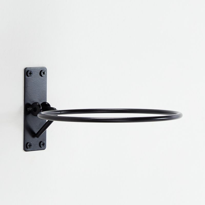 Wall Planter Hook + Reviews | Crate & Barrel