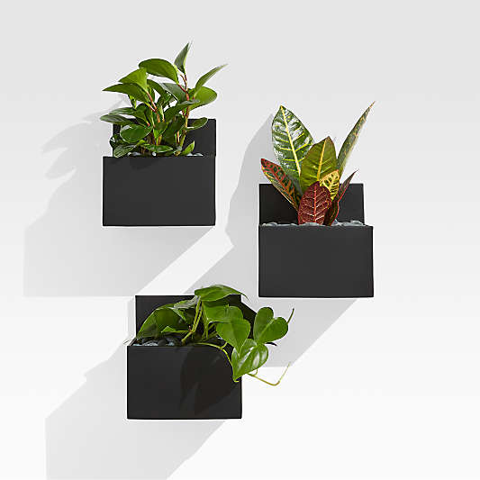 Black Plant Pots, Plant Stands & Black Planters Crate & Barrel Canada