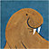 Walrus