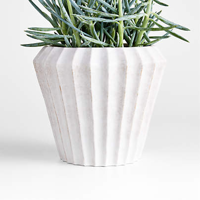 Warren Medium White Ridge Ceramic Indoor/Outdoor Planter