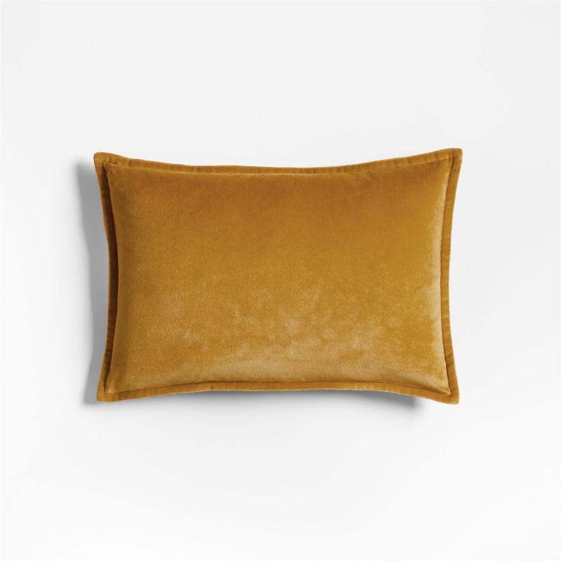 Crate and discount barrel velvet pillows