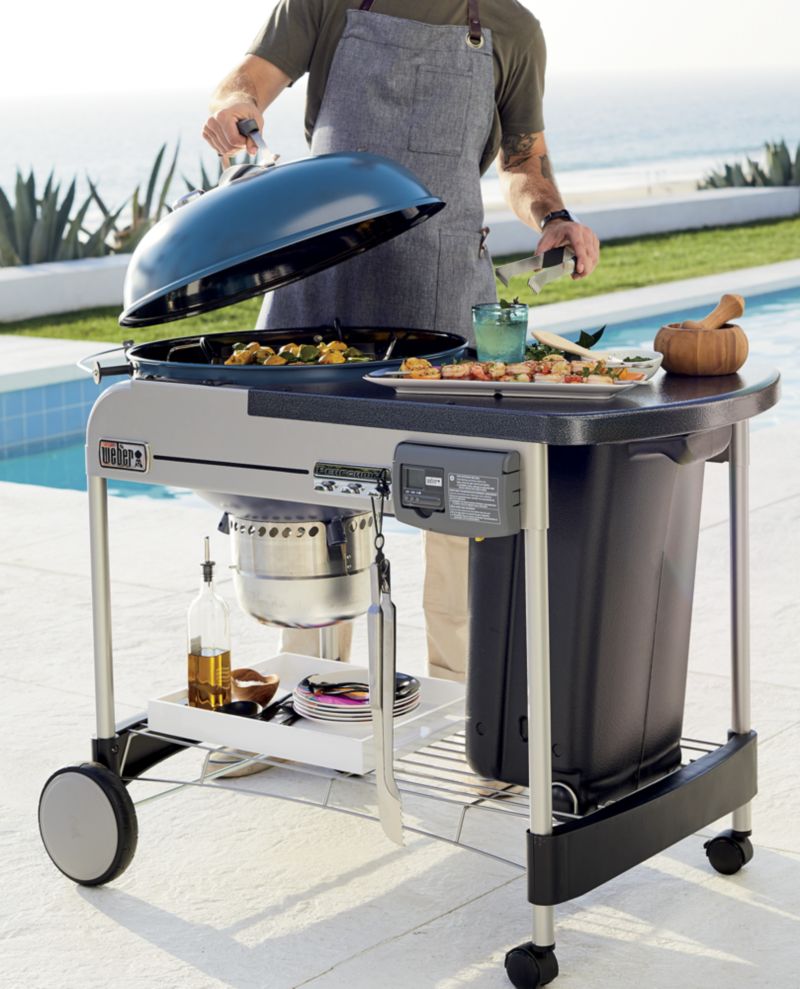 Weber Performer Deluxe Slate Blue Charcoal Outdoor Grill + Reviews 