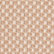 Terracotta Pink
