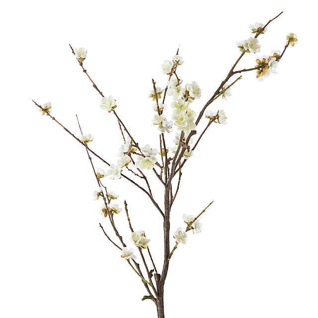 Blossom Cherry Blossom Rustic Small Blossom Branch White 