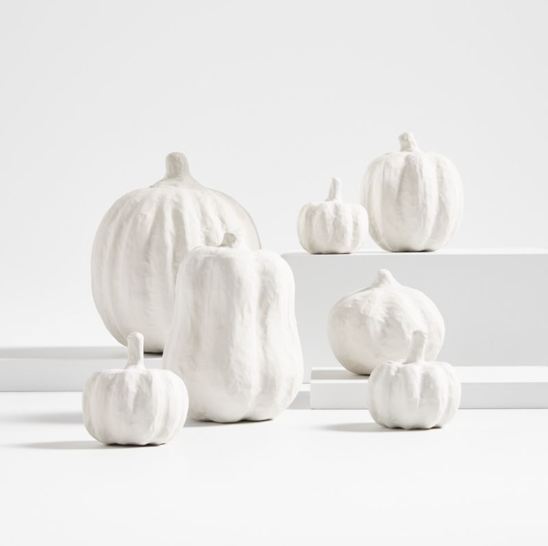 Decorative White Pumpkins Set Of 7 Reviews Crate Barrel   WhiteDecorPumpkinsS7AV2SSF22