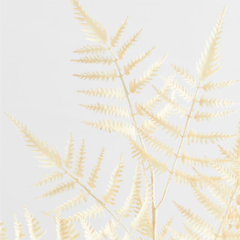 Faux White Fern Leaf Stem - image 2 of 3