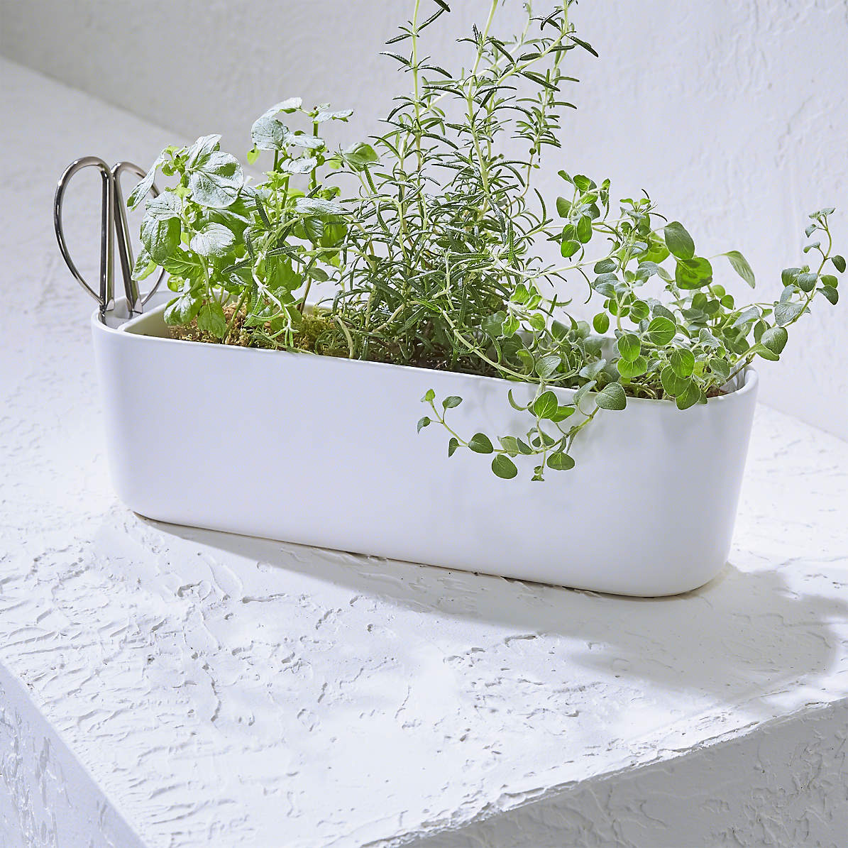 Indoor Outdoor Herb Planter With, Tabletop Herb Garden Planter