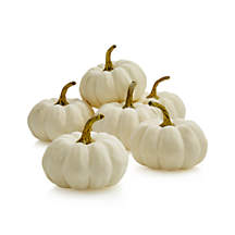 Faux White Pumpkin Bowl & Vase Filler + Reviews | Crate & Barrel