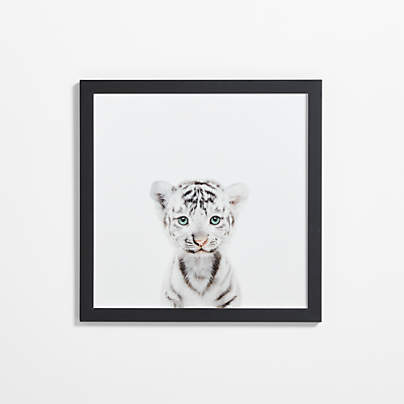 Baby White Tiger Black Wood Framed Wall Art Print