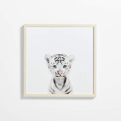 Baby White Tiger Maple Wood Framed Wall Art Print
