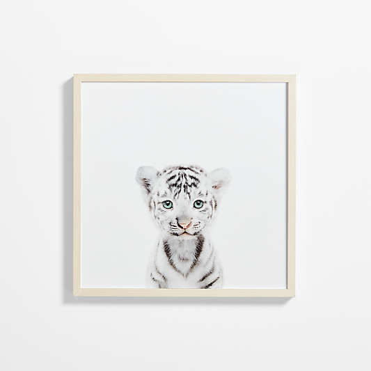 Baby White Tiger Maple Wood Framed Wall Art Print