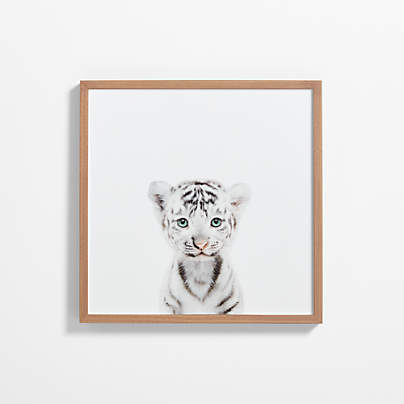 Baby White Tiger Walnut Wood Framed Wall Art Print