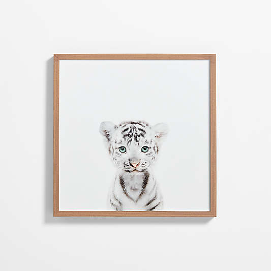 Baby White Tiger Walnut Wood Framed Wall Art Print