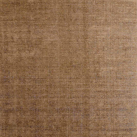 Whistler Viscose and Jute Blend Distressed Brown Area Rug