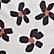 New! Limited Edition: Wild Blooms