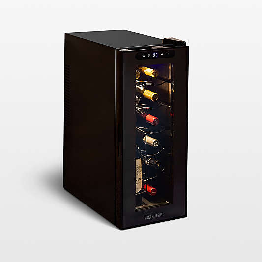 Wine Enthusiast 12-Bottle Wine Fridge with Upright Bottle Holder